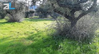 Οικόπεδο 718 τ.μ. για πώληση, Αχαΐα, Πάτρα-thumb-2