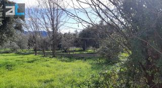 Οικόπεδο 718 τ.μ. για πώληση, Αχαΐα, Πάτρα-thumb-6