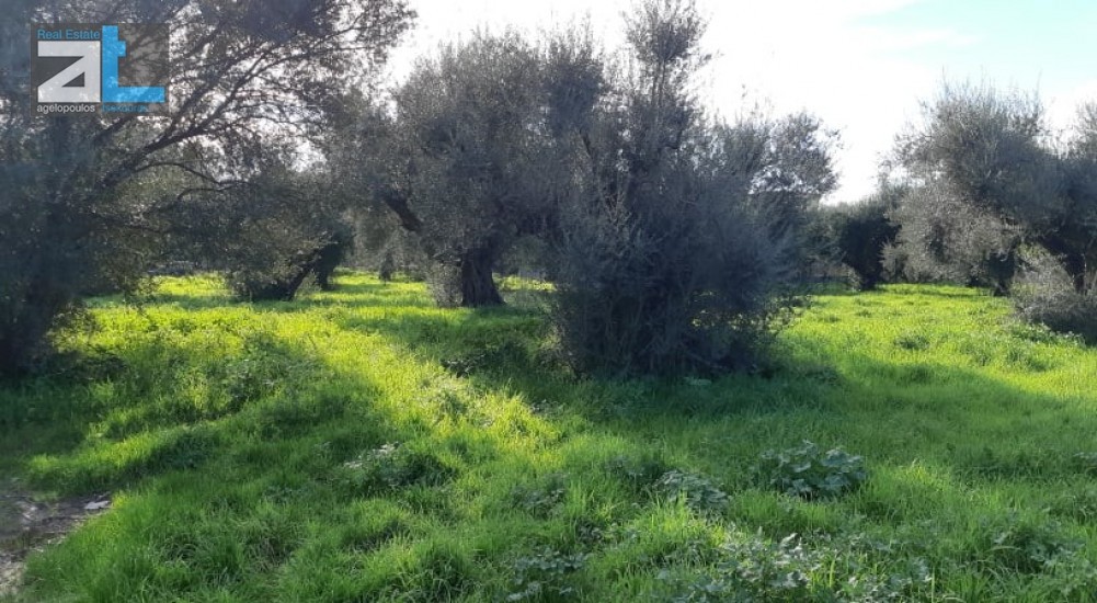 Οικόπεδο 430 τ.μ. προς πώληση, Τ.Ε.Ι. Πάτρας