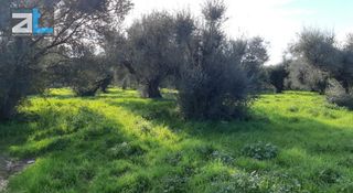 Οικόπεδο 430 τ.μ. για πώληση, Αχαΐα, Πάτρα-thumb-1
