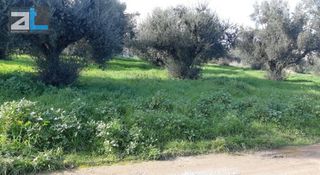 Οικόπεδο 430 τ.μ. για πώληση, Αχαΐα, Πάτρα-thumb-4