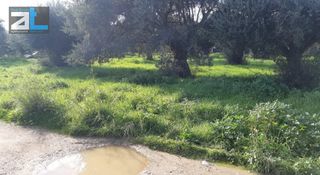Οικόπεδο 430 τ.μ. για πώληση, Αχαΐα, Πάτρα-thumb-5