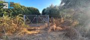 Land plot 1.000sqm for sale-Patra » Taraboura