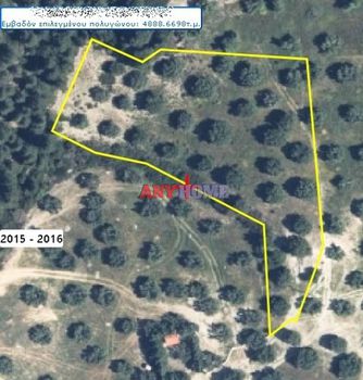 Parcel 4.735sqm for sale-Kassandra » Moles Kalives
