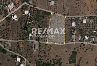 Αγροτεμάχια 6.408 τ.μ. πρός πώληση