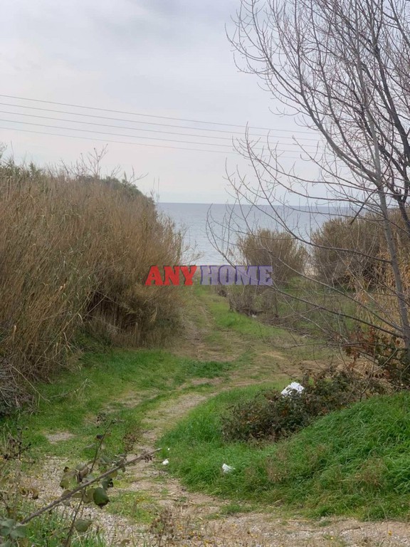 Αγροτεμάχια 1.000 τ.μ. προς πώληση, Νέα Ηράκλεια