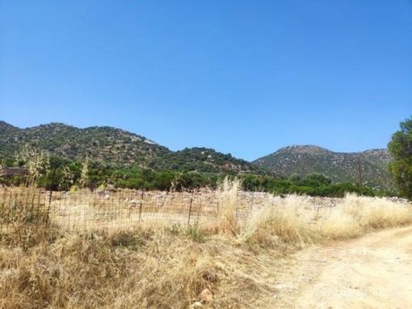 Οικόπεδο 4.530 τ.μ. για πώληση