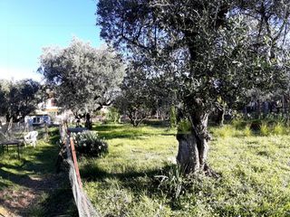 Αγροτεμάχια 394 τ.μ. για πώληση, Αχαΐα, Πάτρα-thumb-9