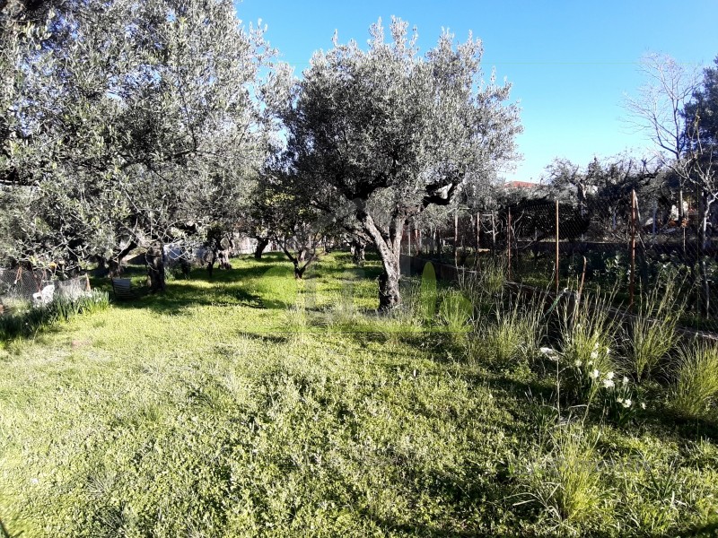 Αγροτεμάχια 394 τ.μ. προς πώληση, Προάστιο Πάτρας
