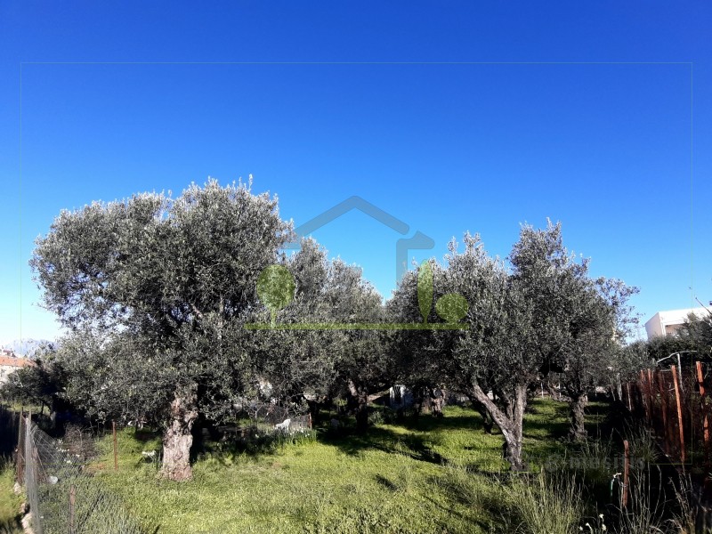 Αγροτεμάχια 394 τ.μ. προς πώληση, Προάστιο Πάτρας