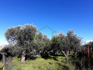 Αγροτεμάχια 394 τ.μ. για πώληση, Αχαΐα, Πάτρα-thumb-1