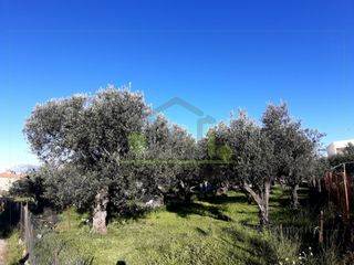 Αγροτεμάχια 394 τ.μ. για πώληση, Αχαΐα, Πάτρα-thumb-22