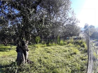 Αγροτεμάχια 394 τ.μ. για πώληση, Αχαΐα, Πάτρα-thumb-10