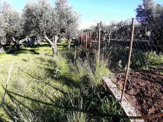 Αγροτεμάχια 394 τ.μ. για πώληση, Αχαΐα, Πάτρα-thumb-12