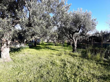 Parcel 394sqm for sale-Patra » Proastio