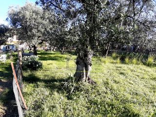 Αγροτεμάχια 394 τ.μ. για πώληση, Αχαΐα, Πάτρα-thumb-23