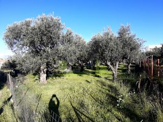 Αγροτεμάχια 394 τ.μ. για πώληση, Αχαΐα, Πάτρα-thumb-21
