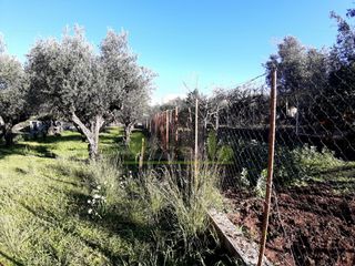 Αγροτεμάχια 394 τ.μ. για πώληση, Αχαΐα, Πάτρα-thumb-18