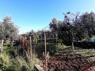 Αγροτεμάχια 394 τ.μ. για πώληση, Αχαΐα, Πάτρα-thumb-11