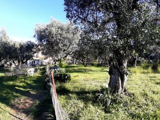 Αγροτεμάχια 394 τ.μ. για πώληση, Αχαΐα, Πάτρα-thumb-6