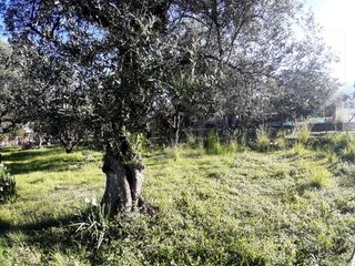 Αγροτεμάχια 394 τ.μ. για πώληση, Αχαΐα, Πάτρα-thumb-16
