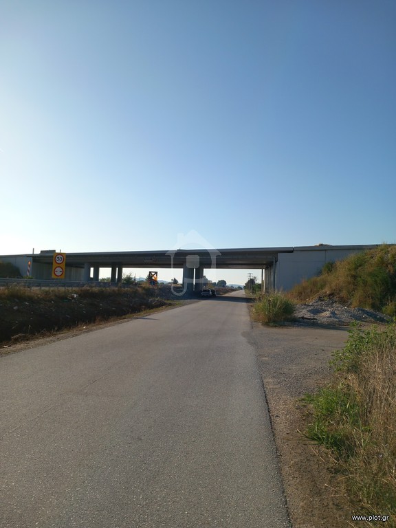 Αγροτεμάχια 4.380 τ.μ. πρός πώληση, Ν. Τρικάλων, Βασιλική
