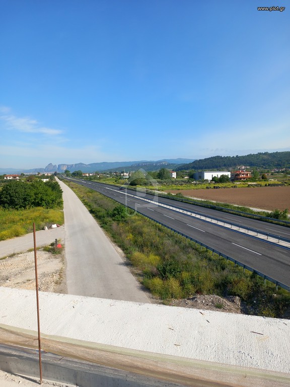 Αγροτεμάχια 4.380 τ.μ. πρός πώληση, Ν. Τρικάλων, Βασιλική