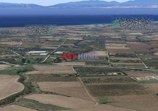Αγροτεμάχια 3.000 τ.μ. για πώληση, Θεσσαλονίκη - Περιφ/Κοί Δήμοι, Επανομή-thumb-2