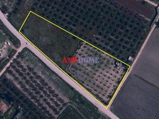 Αγροτεμάχια 3.000 τ.μ. για πώληση