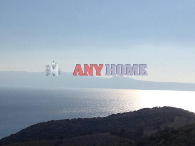 Αγροτεμάχια 6.300 τ.μ. προς πώληση, Νέα Ρόδα