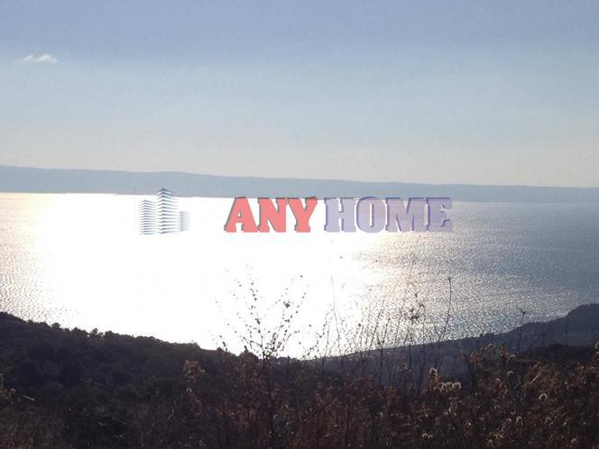 Αγροτεμάχια 6.300 τ.μ. προς πώληση, Νέα Ρόδα