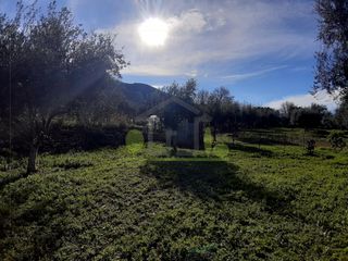 Οικόπεδο 2.450 τ.μ. για πώληση, Αχαΐα, Μεσσατίδα-thumb-23