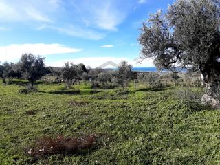 Οικόπεδο 2.450 τ.μ. για πώληση, Αχαΐα, Μεσσατίδα-thumb-19