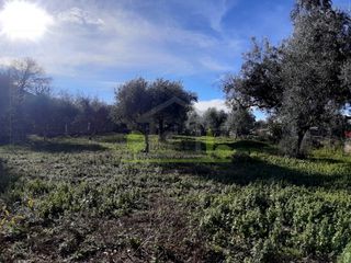 Οικόπεδο 2.450 τ.μ. για πώληση, Αχαΐα, Μεσσατίδα-thumb-10