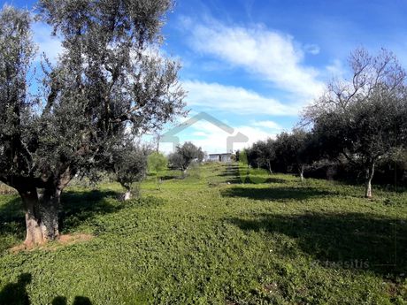 Οικόπεδο 2.450τ.μ. για πώληση-Μεσσατίδα » Κρήνη