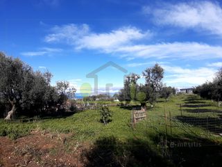 Οικόπεδο 2.450 τ.μ. για πώληση, Αχαΐα, Μεσσατίδα-thumb-24