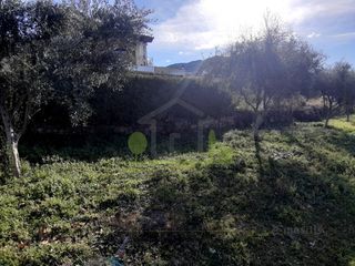 Οικόπεδο 2.450 τ.μ. για πώληση, Αχαΐα, Μεσσατίδα-thumb-20