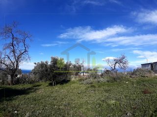 Οικόπεδο 2.450 τ.μ. για πώληση, Αχαΐα, Μεσσατίδα-thumb-17