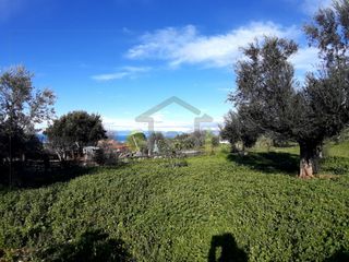 Οικόπεδο 2.450 τ.μ. για πώληση, Αχαΐα, Μεσσατίδα-thumb-3