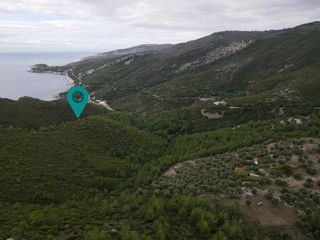 Αγροτεμάχια 15.000 τ.μ. προς πώληση, Κοίνυρα-thumb-2