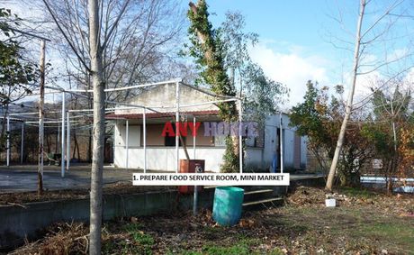 Parcel 9.000sqm for sale-Stagiron - Akanthou » Olimpiada