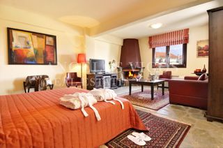 Hotel 1.500 sqm for sale, Pella, Vegoritida-thumb-10