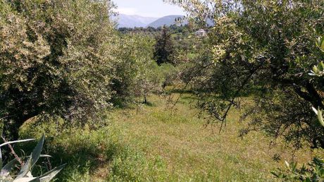 Οικόπεδο 2.000τ.μ. για πώληση-Παραλία » Μιντιλόγλι