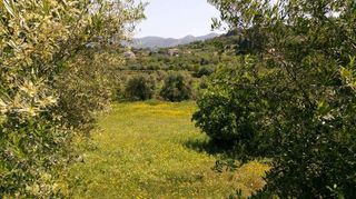Οικόπεδο 2.000 τ.μ. για πώληση, Αχαΐα, Παραλία-thumb-1