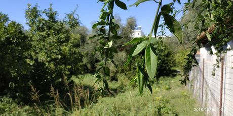 Οικόπεδο 540 τ.μ. για πώληση
