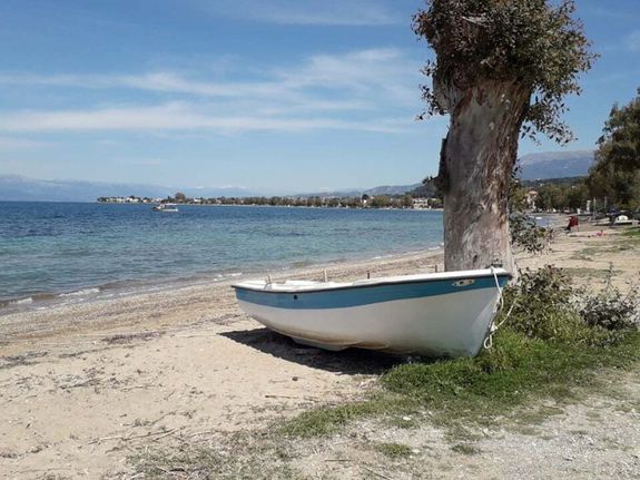 Land plot 2.500 sqm for sale, Achaia, Vrachneika
