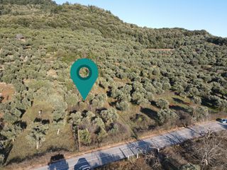 Αγροτεμάχια 5.084 τ.μ. για πώληση, Ν. Καβάλας, Θάσος-thumb-2