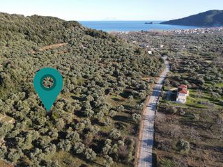 Αγροτεμάχια 5.084 τ.μ. για πώληση, Ν. Καβάλας, Θάσος-thumb-1