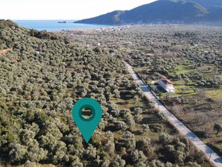 Αγροτεμάχια 5.084 τ.μ. για πώληση