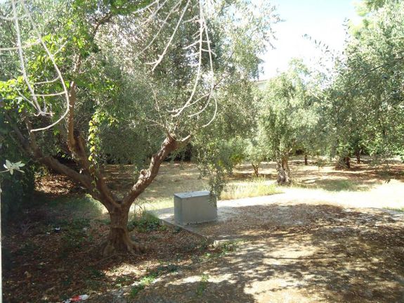 Land plot 580 sqm for sale, Fokida, Efpalio